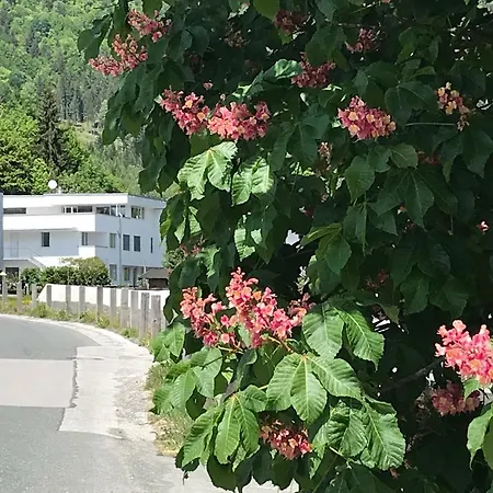 Quartier39 蒂罗的圣约翰