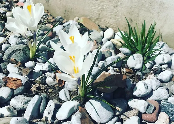 Quartier39 Sankt Johann in Tirol