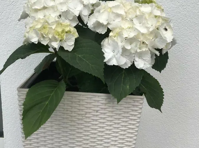 Apartman Quartier39 Sankt Johann in Tirol