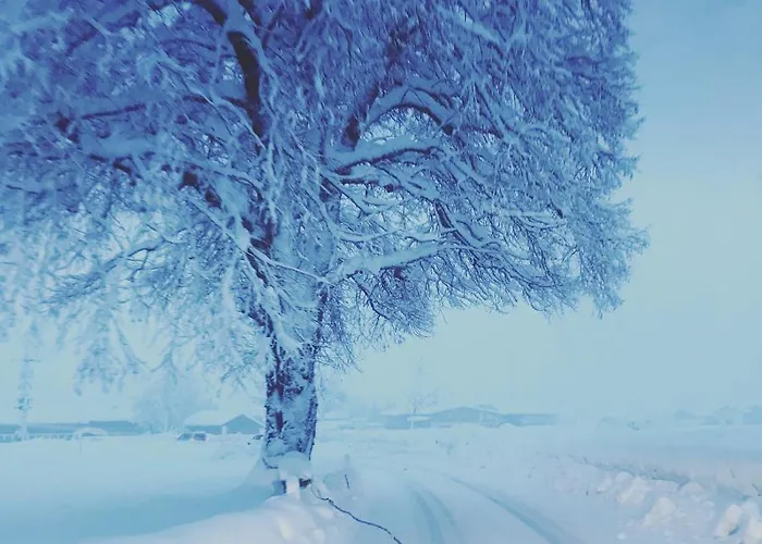 Quartier39 * Sankt Johann in Tirol